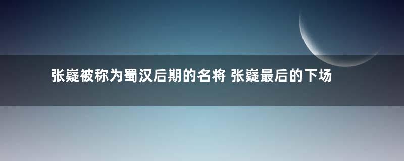 张嶷被称为蜀汉后期的名将 张嶷最后的下场是什么